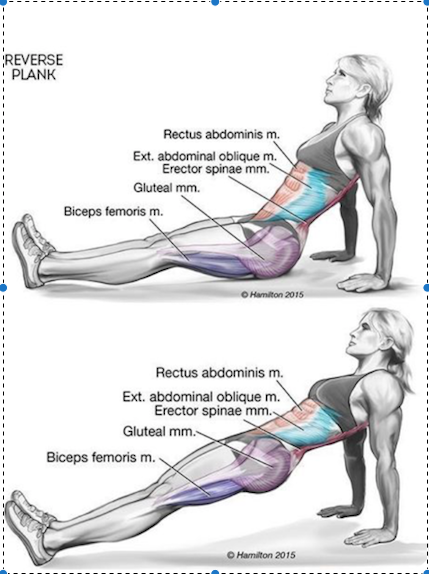 Side Plank Pose (Vasisthasana) Instructions & Photos • Yoga Basics